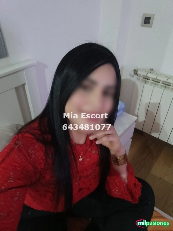Novedad latina recién llegada cariñosa caliente, Aspe