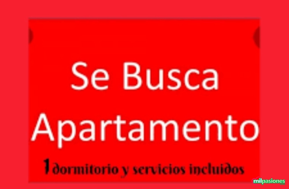 Buscamos apartamentos para alquilar larga estancia, Aspe