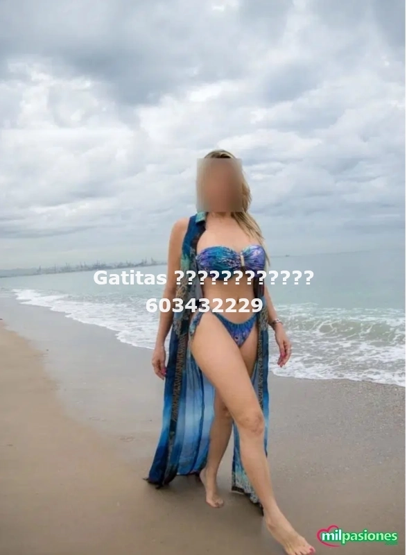 Gatitas buscando buena compañía.????????????????????????????????????????????????????????, Aspe