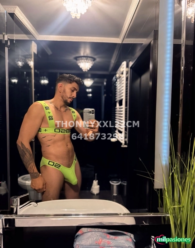 Latino pollon xxl22cm, Alicante