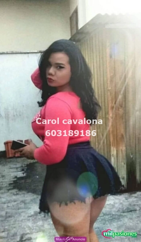 Carol caballo grande de 20cm de grosor mui simpática, Aspe