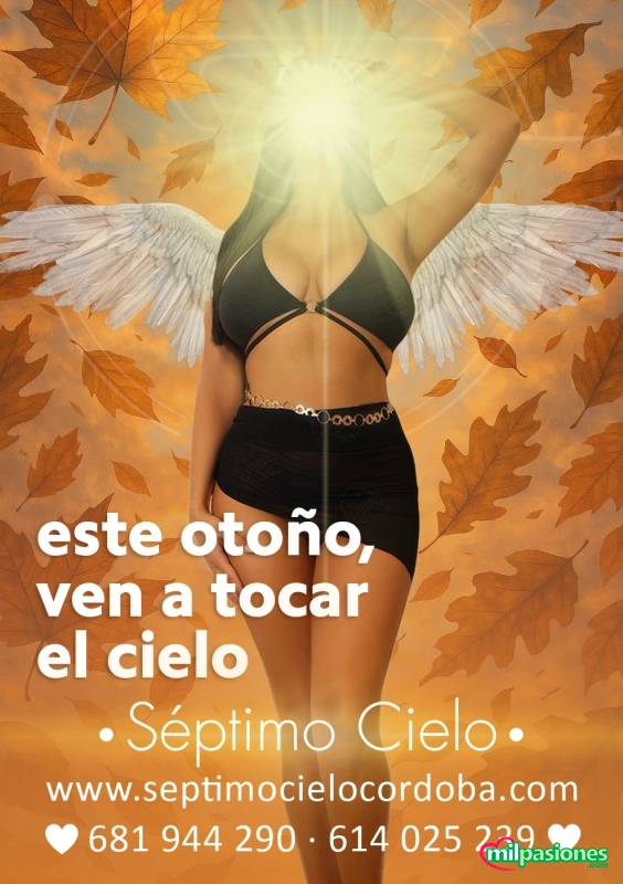 Masajes de lujo séptimo cielo en pleno centro, Aspe
