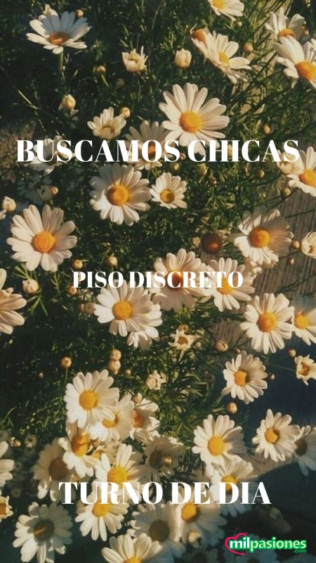 Casting en valencia trabajo disponible, Aspe
