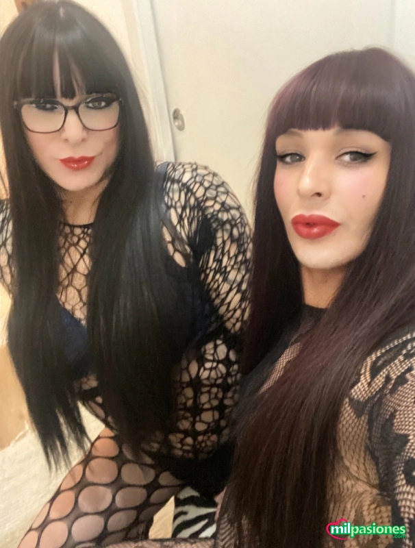 Novedad primas trans delicia para el paradas ven y difrutas, Aspe