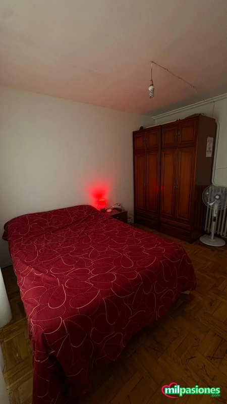 Alquiló habitación para mujeres tranquilas, Aspe