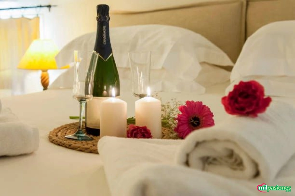 Sofia luxe vip, exclusivo apartamento de encuentros en, Alicante