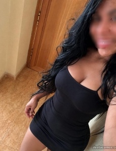 Novedad morena latina