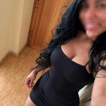 Novedad morena latina, Elche