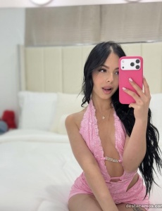 Novedad