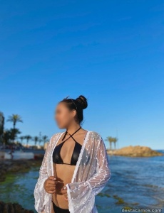 Solo hoy domingo en torrevieja