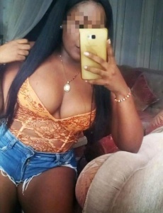 Novedad latina