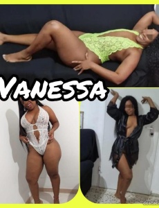 Vanessa preciosa mulata en koketas elche