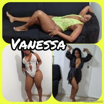 Vanessa preciosa mulata en koketas elche, Elche