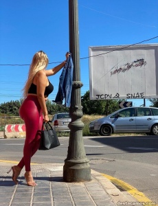 Luana tu mejor compañía