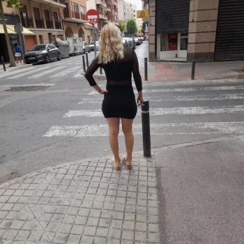 Española rubia cariñosa, Alicante