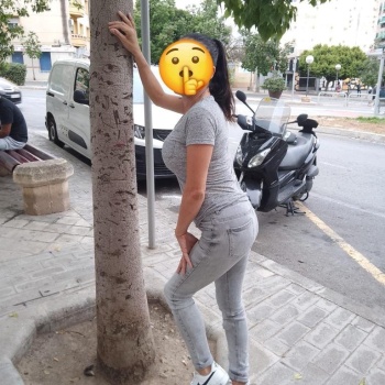 Española morenaza, Alicante