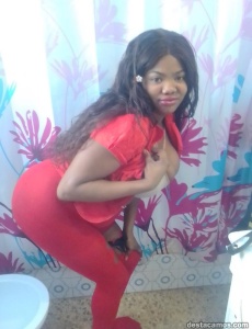 Gata roja domicilio
