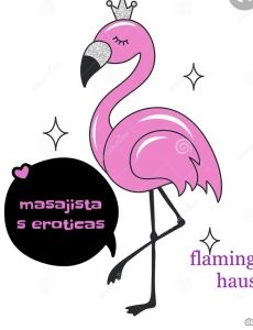 Flamingo hause. Beautiful masseuses girls in villa javea ,moraira,calpe