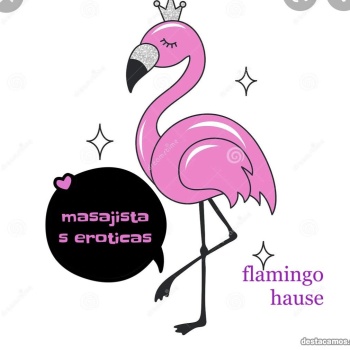 Flamingo hause. Beautiful masseuses girls in villa javea ,moraira,calpe, Alicante