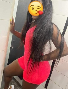 Negrita mimosa encantadora
