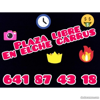 Plaza disponible en elche, Alicante