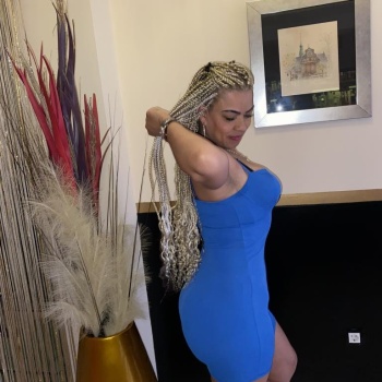 Marcela latina, Alicante