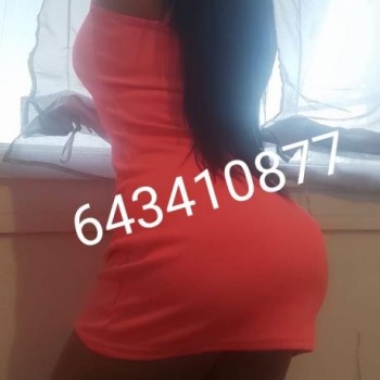 Novedad latina buen porte, Denia