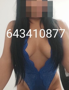 Novedad latina buen porte