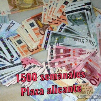Plazas en alicante o elda, Alicante
