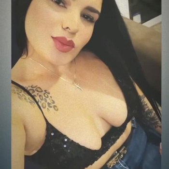 Dana latina hermosa, Alicante