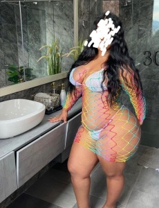Novedad latina y