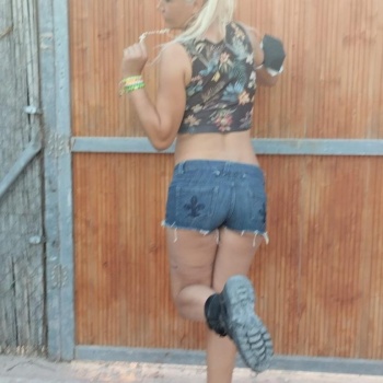Harley queen, Alicante