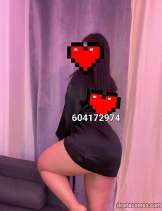 Novedad sara