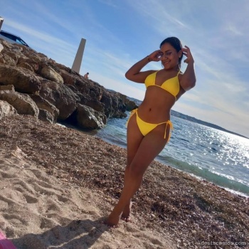 Mariana mulata hermosa, Alicante