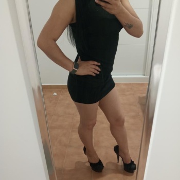 Sami majajista, Alicante