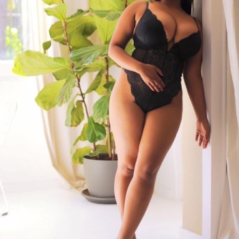 Daniela dominicana travieza, Pedreguer