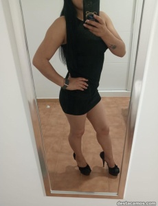 Novedad latina