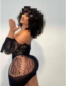 Paloma noveda