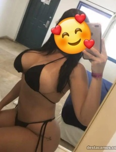 Vanessa novedad