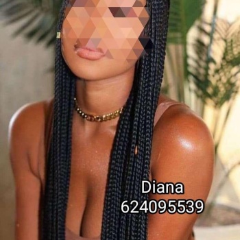 Diana morena latina, Alcoy