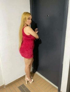 Tu mejor acompañante