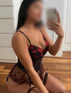 Novedad