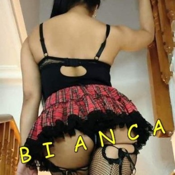 Bianca novedad soy tu mejor eleccion, Torrevieja