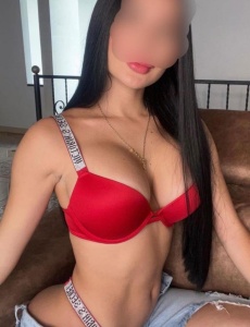 Novedad