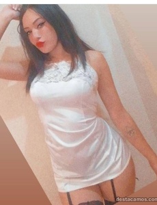 Libre amor