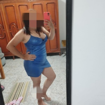 Andrea colombiana, Alicante