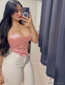Paloma latina,