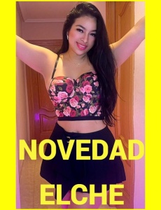 Novedad