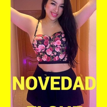 Novedad, Elche