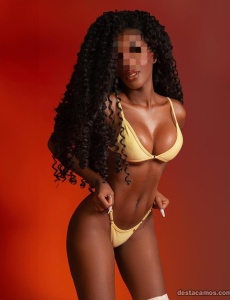 Sol